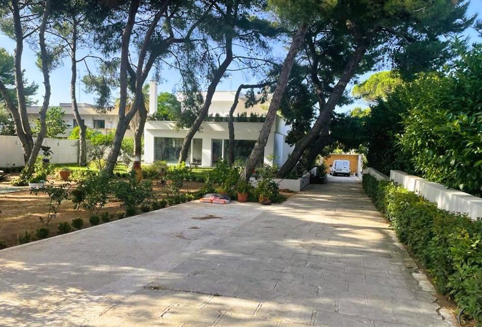 Casa Morgana Leilighet Giovinazzo Eksteriør bilde